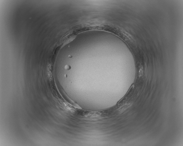 X0000075811156200609291338