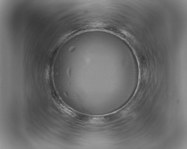 X0000075811161200609291337