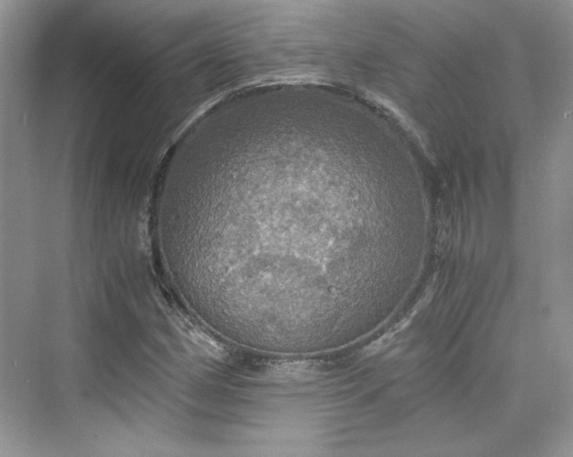 X0000075811162200609291337