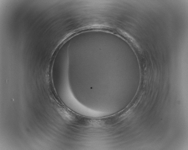 X0000075811170200609291337