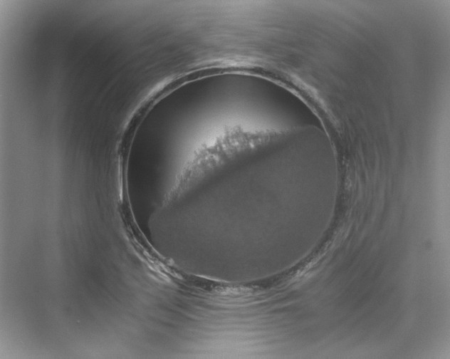 X0000075811171200609291337