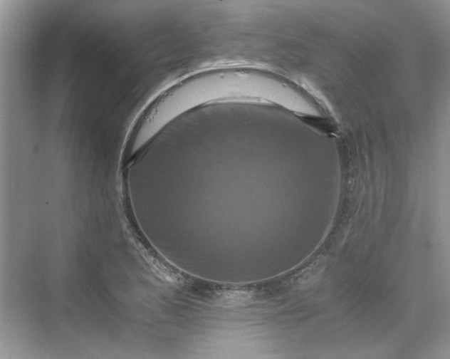 X0000075811173200609291337