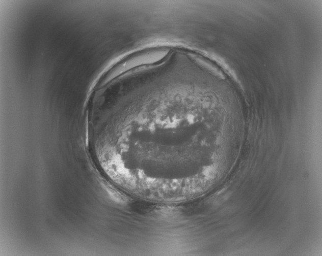 X0000075811175200609291337