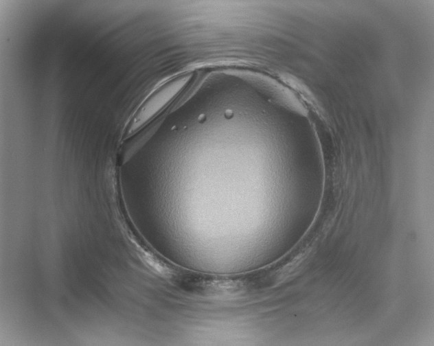 X0000075811177200609291337