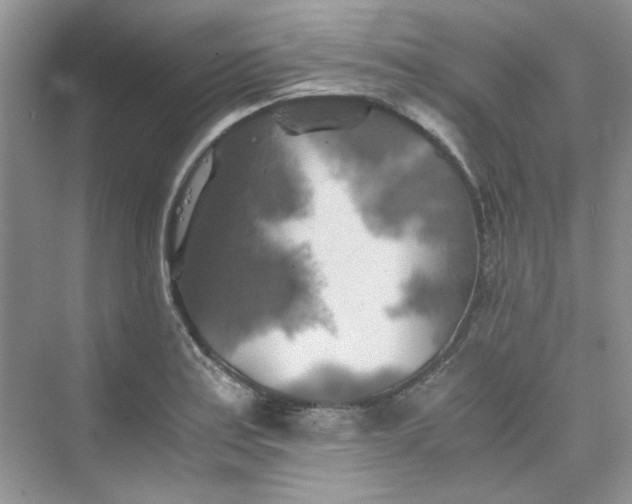 X0000075811179200609291337