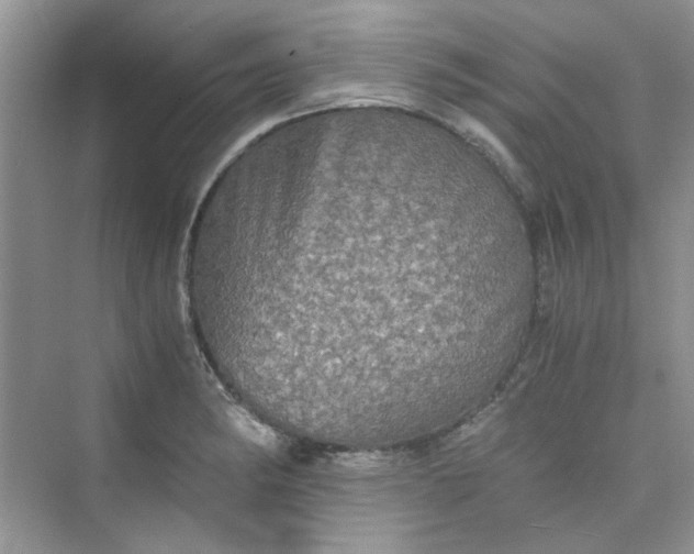 X0000075811182200609291337