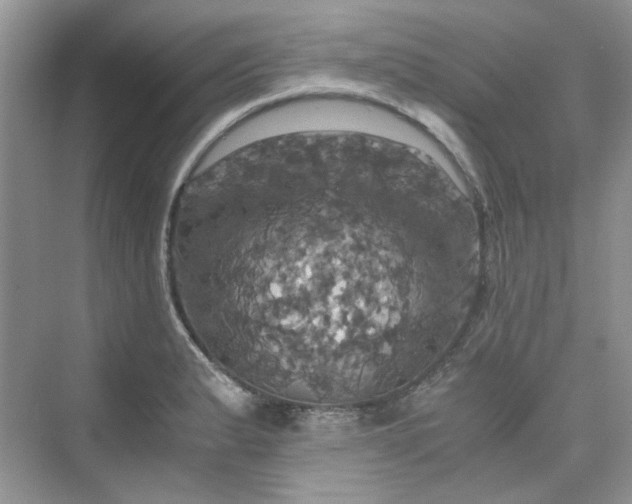 X0000075811183200609291337