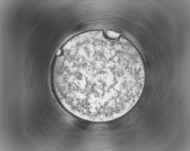 X0000075811187200609291337