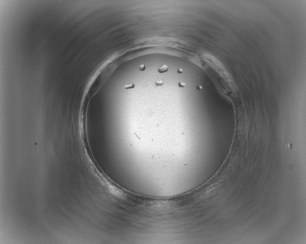 X0000075811188200609291337