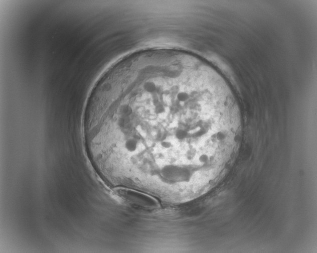 X0000075811191200609291337