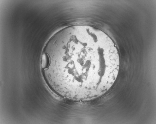 X0000075811195200609291337