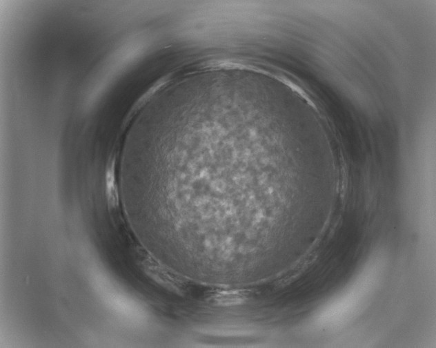 X0000075811198200609291337