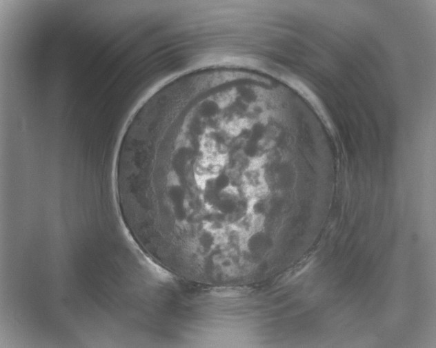 X0000075811199200609291337