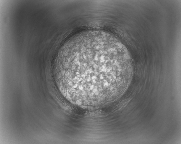 X0000075811201200609291336