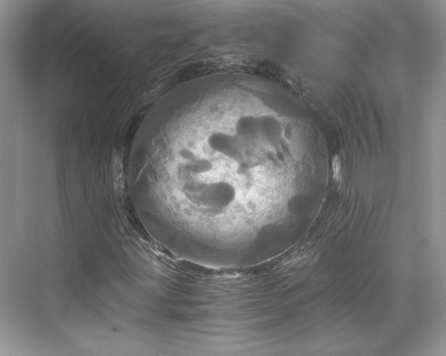 X0000075811203200609291336