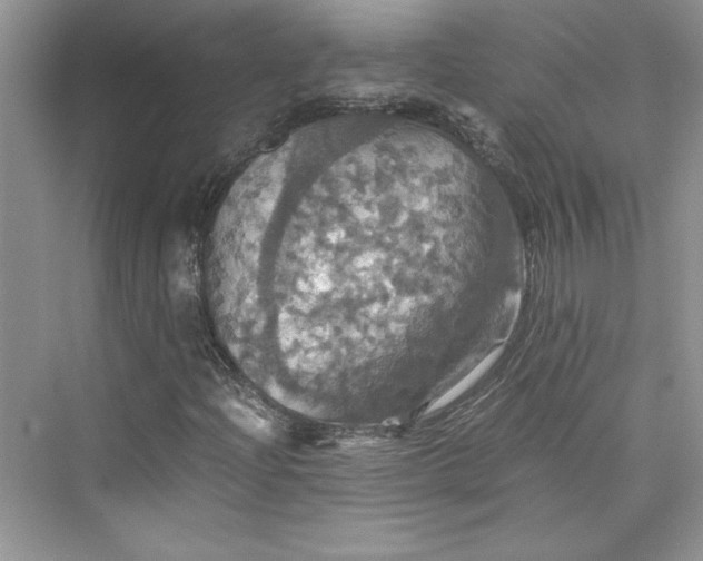 X0000075811204200609291336