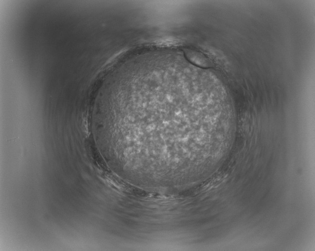 X0000075811205200609291336