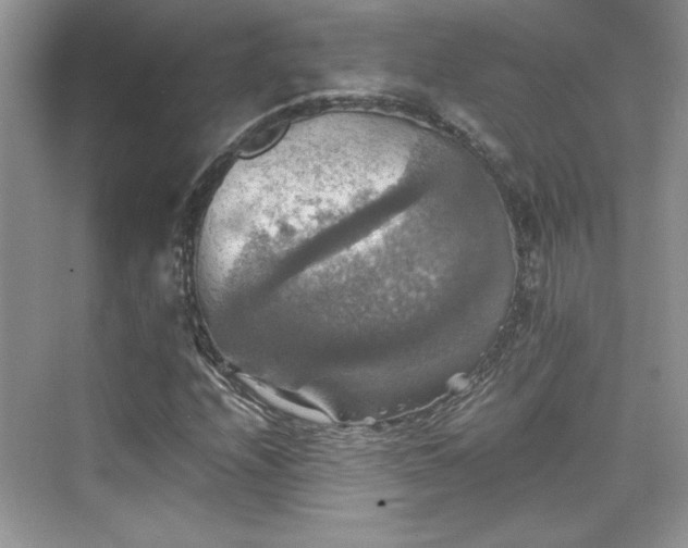 X0000075811208200609291336