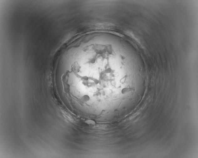 X0000075811211200609291336