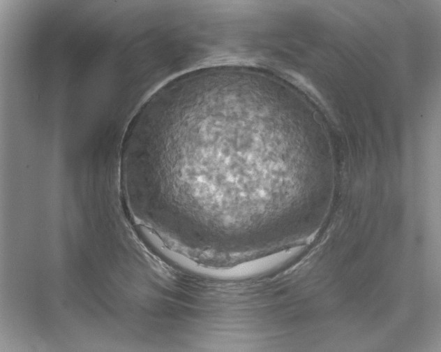 X0000075811220200609291336