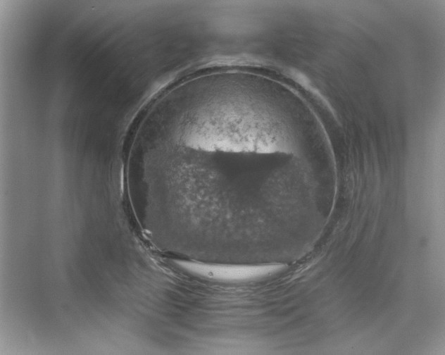 X0000075811221200609291336