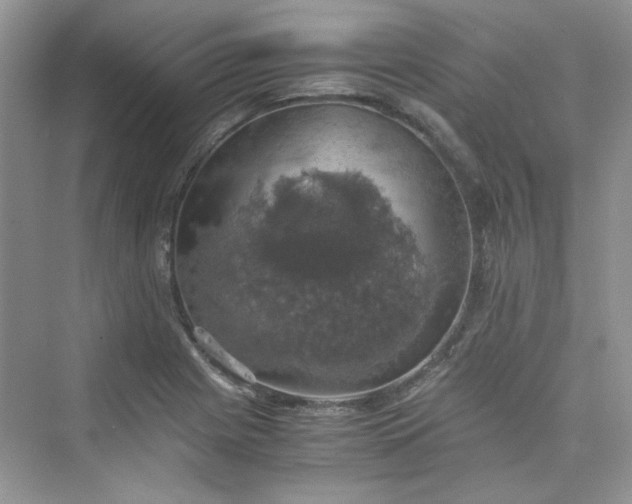 X0000075811225200609291336