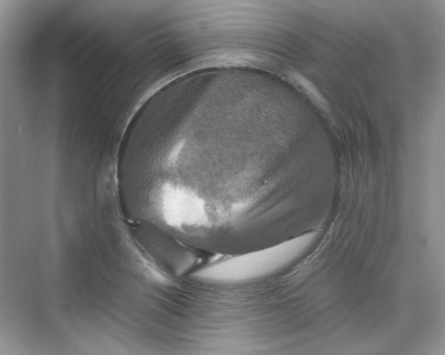 X0000075811226200609291336