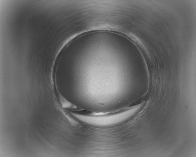 X0000075811230200609291336