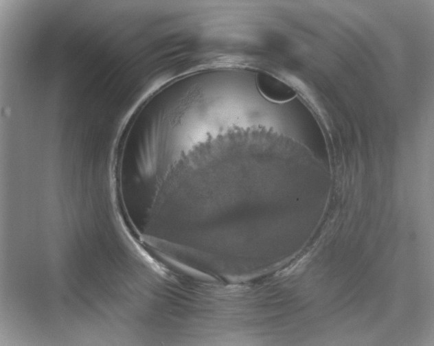 X0000075811235200609291337