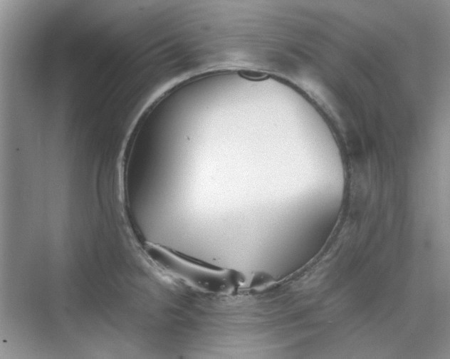 X0000075811238200609291337