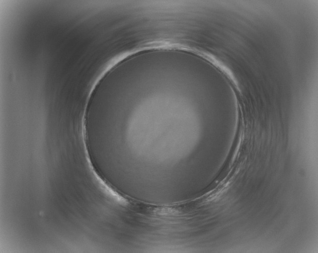 X0000075811239200609291337