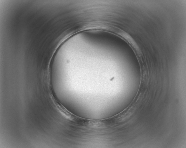 X0000075811242200609291337