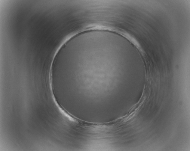 X0000075811247200609291337