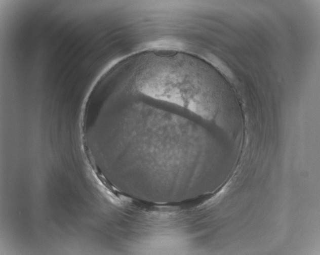 X0000075811248200609291337