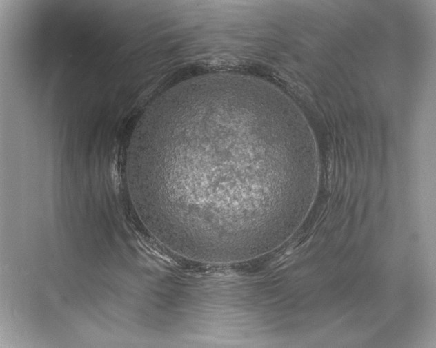 X0000075811250200609291336