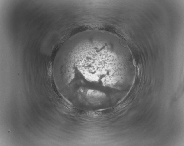 X0000075811251200609291336