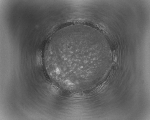 X0000075811252200609291336