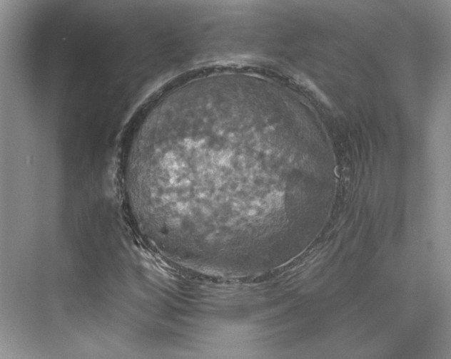 X0000075811256200609291336