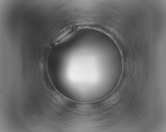 X0000075811257200609291336