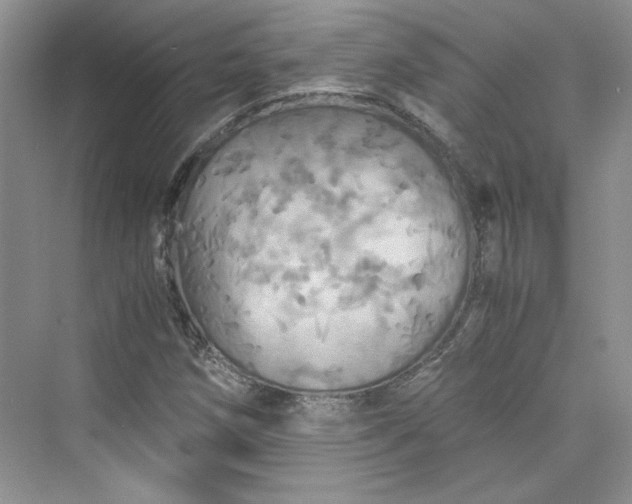 X0000075811258200609291336