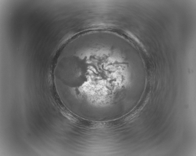 X0000075811259200609291336