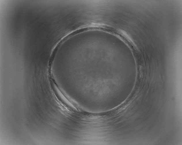 X0000075811260200609291336