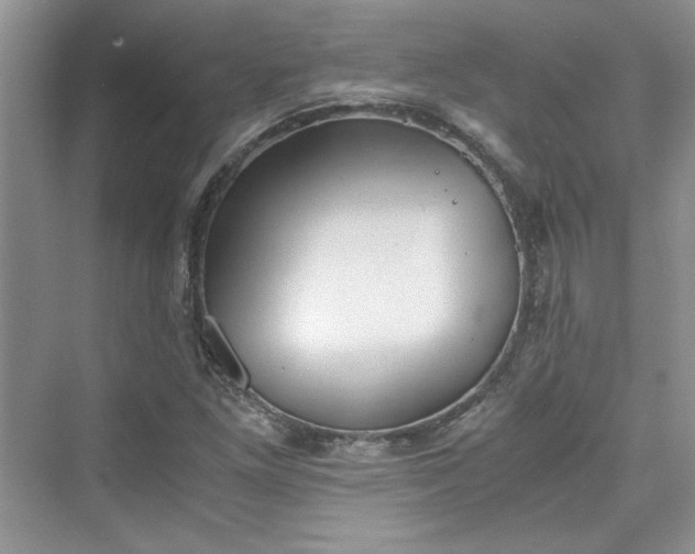 X0000075811261200609291336