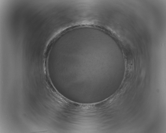 X0000075811262200609291336