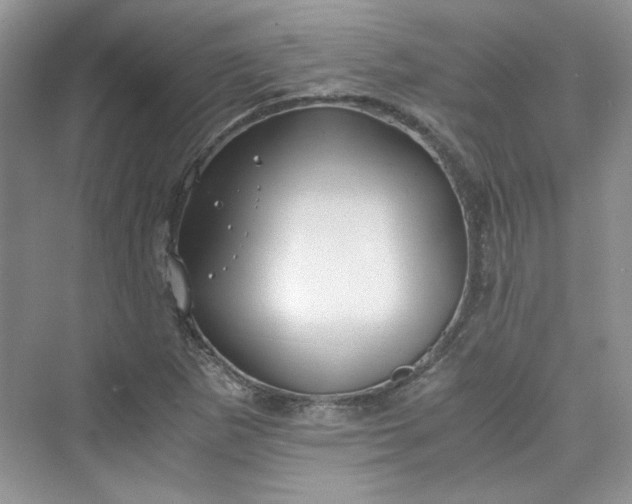 X0000075811265200609291336