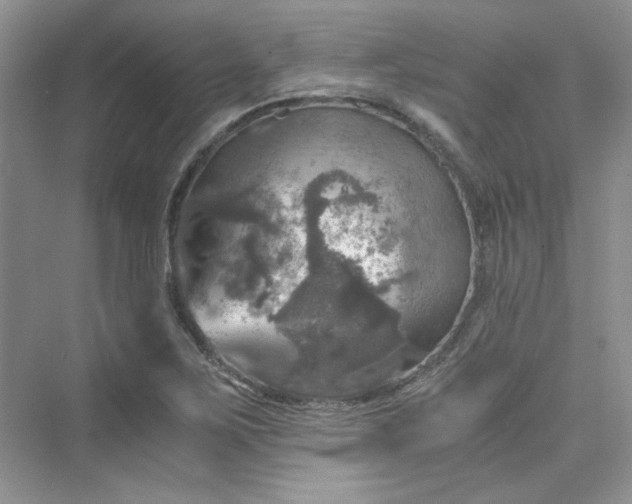 X0000075811267200609291336