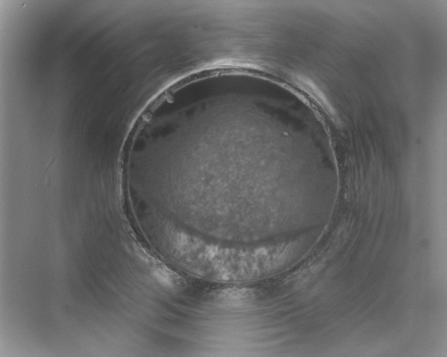 X0000075811268200609291336