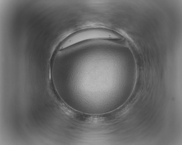 X0000075811269200609291336