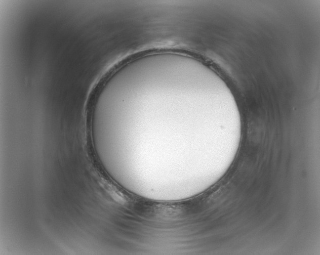 X0000075811270200609291336