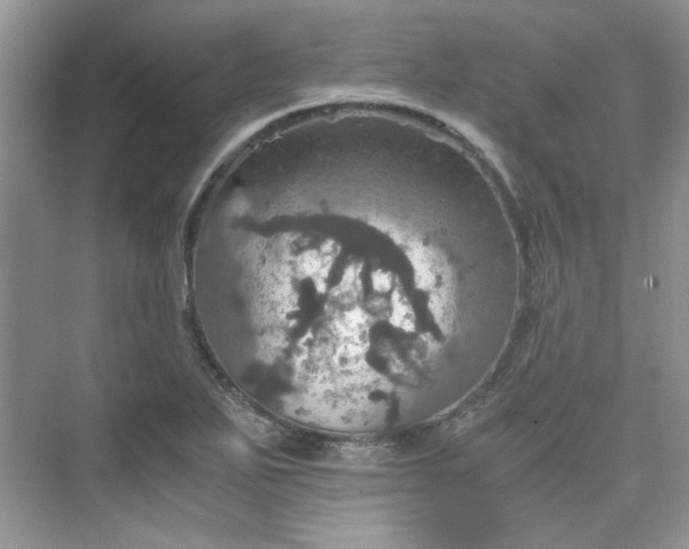 X0000075811271200609291336